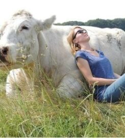 Waar kun je met een koe knuffelen?