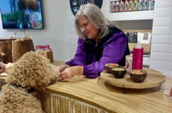 Doggy Beach House Zandvoort – dé hotspot voor honden aan het strand