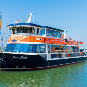 SAIL Rondvaart – De Ultieme Tall Ship Beleving Inclusief Drankjes (100 minuten)