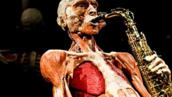 Body Worlds Amsterdam: een fascinerende kijk in het menselijk lichaam